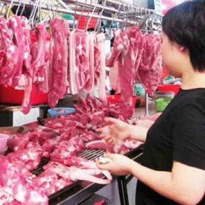 Nguồn cung thịt heo trong nước đang cạn